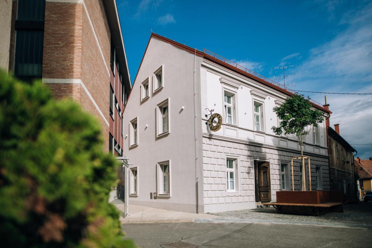 Becycle Sustainable Stay And Travel Maribor Dış mekan fotoğraf